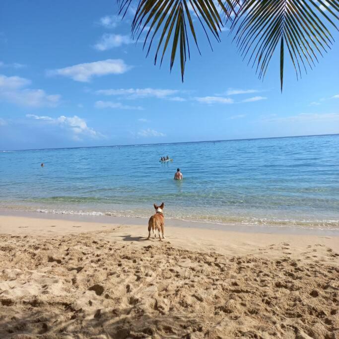 Iolana'S Beach House - Beautiful Home Punaauia  Bagian luar foto